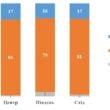 Опрос: Более 80% украинцев считают, что Украина недостаточно подготовилась к вторжению РФ