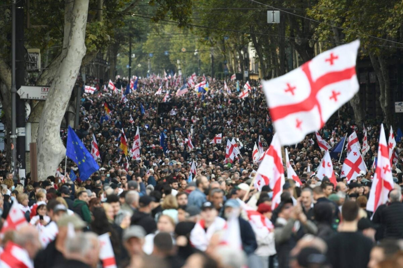 В Грузии на фоне выборов протестующие штурмуют президентский дворец | ФОТО | ВИДЕО