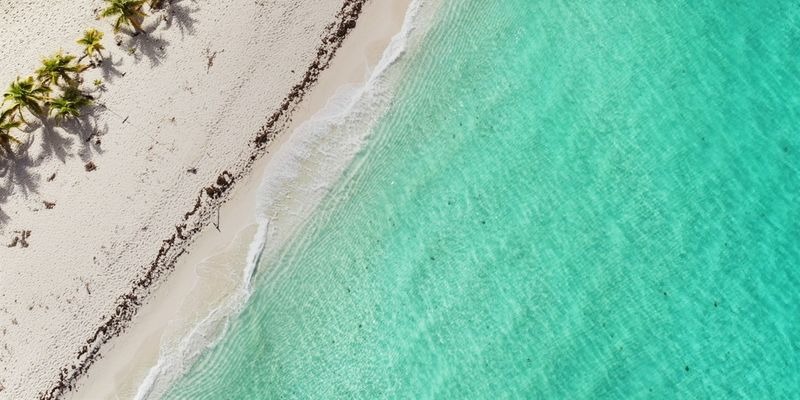 Море во сне: что говорят о таких снах разные культуры и сонники