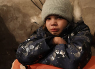 Оскароносный украинский фильм вошел в топ-10 запросов Google: о какой ленте идет речь