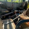 Россия ударила дроном по автобусу в Марганце: 9 человек погибли | ФОТО