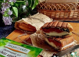 Панини-гриль