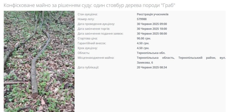 Исполнительная служба Тернопольщины выставила на торги палку должника за 90 грн