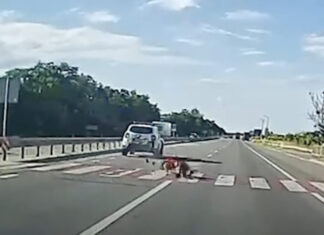 На Львовщине патрульные сбили подростка на пешеходном переходе | ВИДЕО