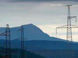 Нардеп: «Энергоатом» «слил» 300 млн грн человеку, приближенному к основателю «95 Квартала» Миндичу