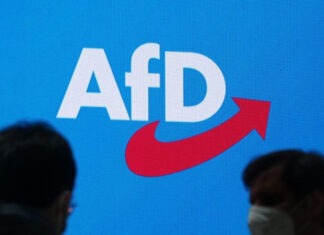 СДПГ готовится запретить ультраправую «Альтернативу для Германии»