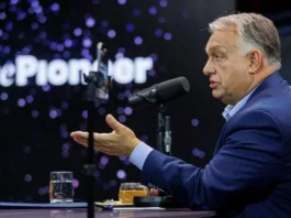 Торговля органами и людьми: Соратница Орбана опубликовала антиукраинское видео