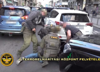 «Украинский шпион» задержанный в Венгрии оказался гражданином РФ