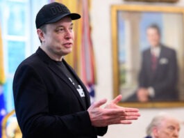 Вице-спикер Госдумы заявил, что Маск попросил об убежище в России