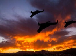 Литва планирует развернуть украинскую акустическую систему обнаружения БПЛА