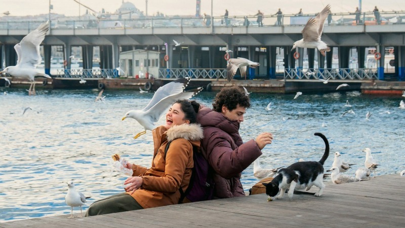 На одном дыхании: 3 коротких турецких сериала, которые можно посмотреть за вечер