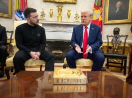 СМИ: Трамп призвал Зеленского усилить удары по России