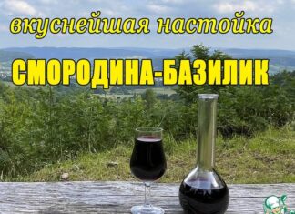 Смородиновая настойка с базиликом