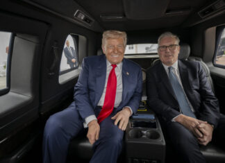 США в ООН: Трамп требует мира между Россией и Украиной до 8 августа