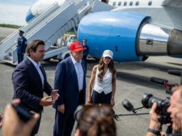 Трамп прокомментировал прекращение поставок оружия для Украины