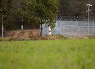 В Литве из-за самодельного летательного аппарата из Беларуси эвакуировали руководство страны | ФОТО