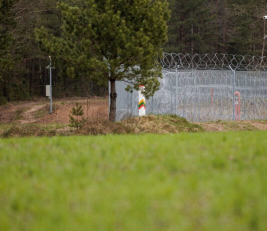В Литве из-за самодельного летательного аппарата из Беларуси эвакуировали руководство страны | ФОТО