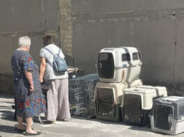 В Винницкой области местные жители выгоняли из села женщин, эвакуированных из-под Покровска