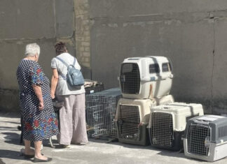 В Винницкой области местные жители выгоняли из села женщин, эвакуированных из-под Покровска