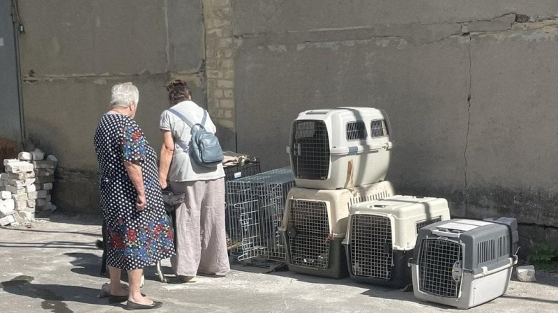 В Винницкой области местные жители выгоняли из села женщин, эвакуированных из-под Покровска