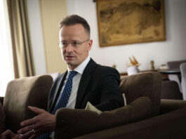 Венгрия хочет ввести санкции ЕС против Украины из-за якобы смерти венгра от действий ТЦК