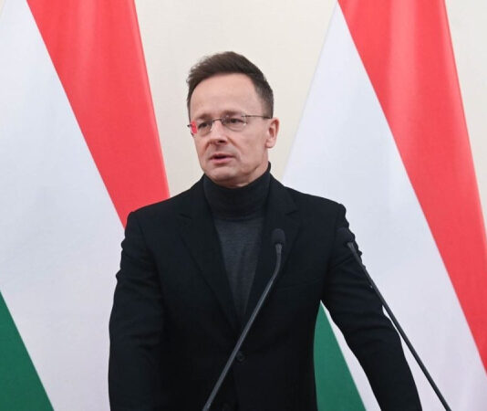 Венгрия ввела санкции против украинских военных, которых обвинила в смерти венгра на Закарпатье