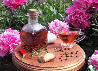 Заправка из оливкового масла со специями