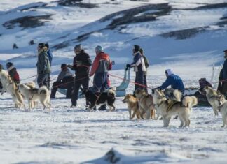 Дания вызвала посла США из-за сообщений о «тайных операциях» в Гренландии