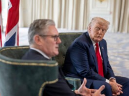 NYT: Трамп встретится с Путиным на следующей неделе, после будет трехсторонняя встреча с Зеленским