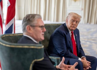 NYT: Трамп встретится с Путиным на следующей неделе, после будет трехсторонняя встреча с Зеленским