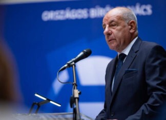 Президент Венгрии удалил упоминание о России из поста об обстреле Закарпатья