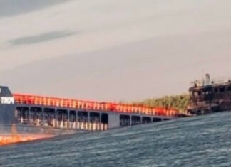 Российские власти рассказали, как ВСУ атаковали судно с деталями для «Шахедов»