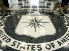 СМИ: Трамп уволил старшего аналитика ЦРУ по вопросам России