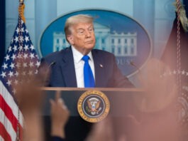 Трамп заявил, что Зеленский и Путин «ладят лучше, чем ожидалось»