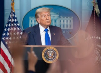 Трамп заявил, что Зеленский и Путин «ладят лучше, чем ожидалось»