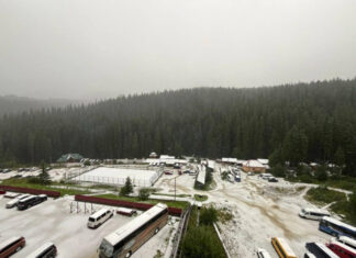 В Карпатах на День Независимости выпал первый снег | ФОТО | ВИДЕО