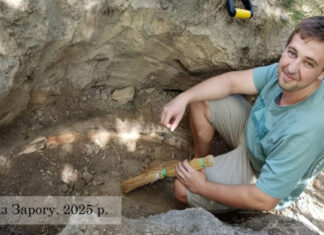 В Полтавской области нашли бивень мамонта | ФОТО