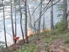 Возле «дворца Путина» четыре дня тушили пожар, возникший после падения дрона ВСУ | ВИДЕО