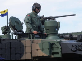 WSJ: Европейские избиратели против отправки миротворцев в Украину