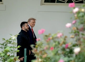 Зеленский рассказал о «очень хорошем разговоре» с Трампом