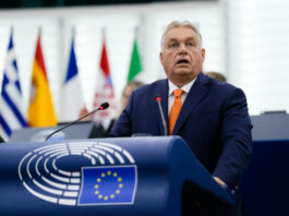 FT: ЕС планирует разблокировать €550 млн для Венгрии, чтобы Орбан снял вето на санкции против России