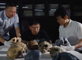 Новый взгляд на древний череп ставит под сомнение хронологию эволюции человека