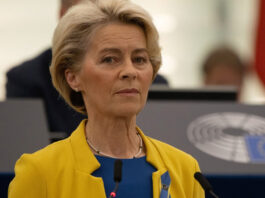 СМИ: Самолету фон дер Ляйен пришлось приземлиться по бумажным картам из-за российских средств РЭБ