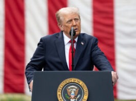 Ты бумажный тигр?: Трамп снова разочарован Путиным