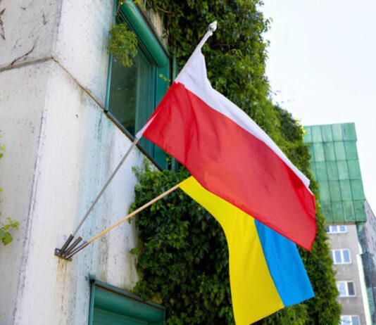 Украинцев в Польше будут ежемесячно проверять на предмет трудоустройства