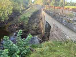 В Дании бобер на несколько дней парализовал движение поездов в одном из районов страны