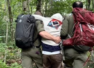 В США рейнджеры спасли туристов, у которых были галлюцинации после «волшебных» грибов