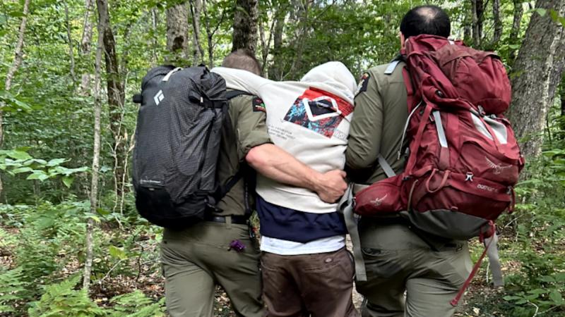 В США рейнджеры спасли туристов, у которых были галлюцинации после «волшебных» грибов