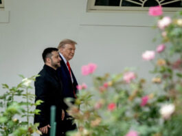 Axios: Трамп обсудил с Зеленским поставки ракет Tomahawk в Украину