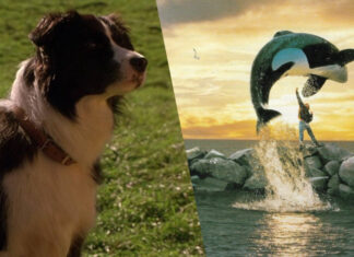 Идеальные для выходного: 3 интересных фильма о животных, которые стоит посмотреть вместе с детьми
